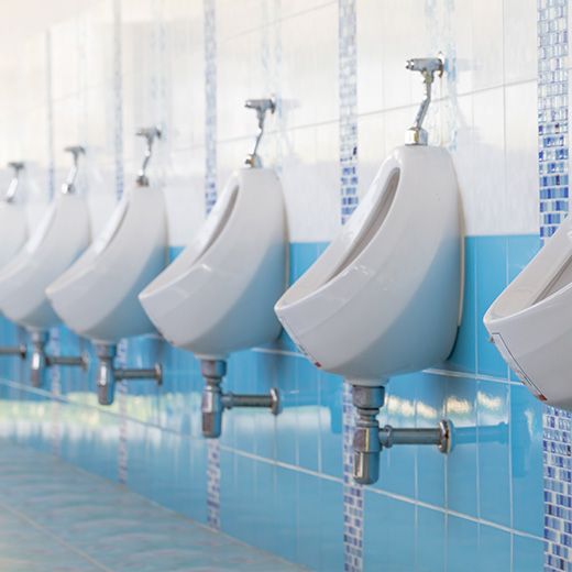 For All Your Plumbing Needs In Basket Range