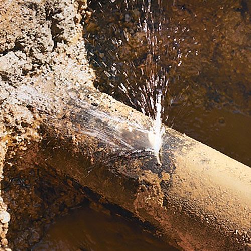 Same Day Basket Range Plumbers